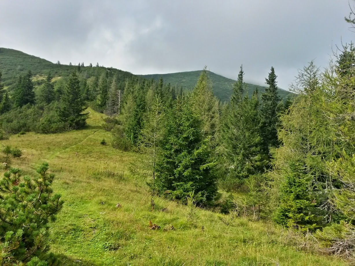 lh3.googleusercontent.com_-d2fwxkcfj3k_u_iuvq9hiji_aaaaaaaaciw_fs3njehcml0_w1228-h921-no_20140823_095538_richtone_28hdr_29.jpg lh3.googleusercontent.com_-d2fwxkcfj3k_u_iuvq9hiji_aaaaaaaaciw_fs3njehcml0_w1228-h921-no_20140823_095538_richtone_28hdr_29.jpg