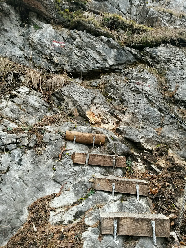 lh5.googleusercontent.com_-kyyvjqh5up8_vhsyrx-6swi_aaaaaaaafsc_icf3qt5t7zi_w600-h800-no_20141125_103854_richtone_28hdr_29.jpg lh5.googleusercontent.com_-kyyvjqh5up8_vhsyrx-6swi_aaaaaaaafsc_icf3qt5t7zi_w600-h800-no_20141125_103854_richtone_28hdr_29.jpg