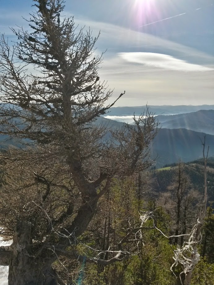 lh4.googleusercontent.com_-9nj0a7o_v1o_vfuxy7dutsi_aaaaaaaaekq_lef92ptce2c_w691-h921-no_20141101_120905_richtone_28hdr_29.jpg lh4.googleusercontent.com_-9nj0a7o_v1o_vfuxy7dutsi_aaaaaaaaekq_lef92ptce2c_w691-h921-no_20141101_120905_richtone_28hdr_29.jpg