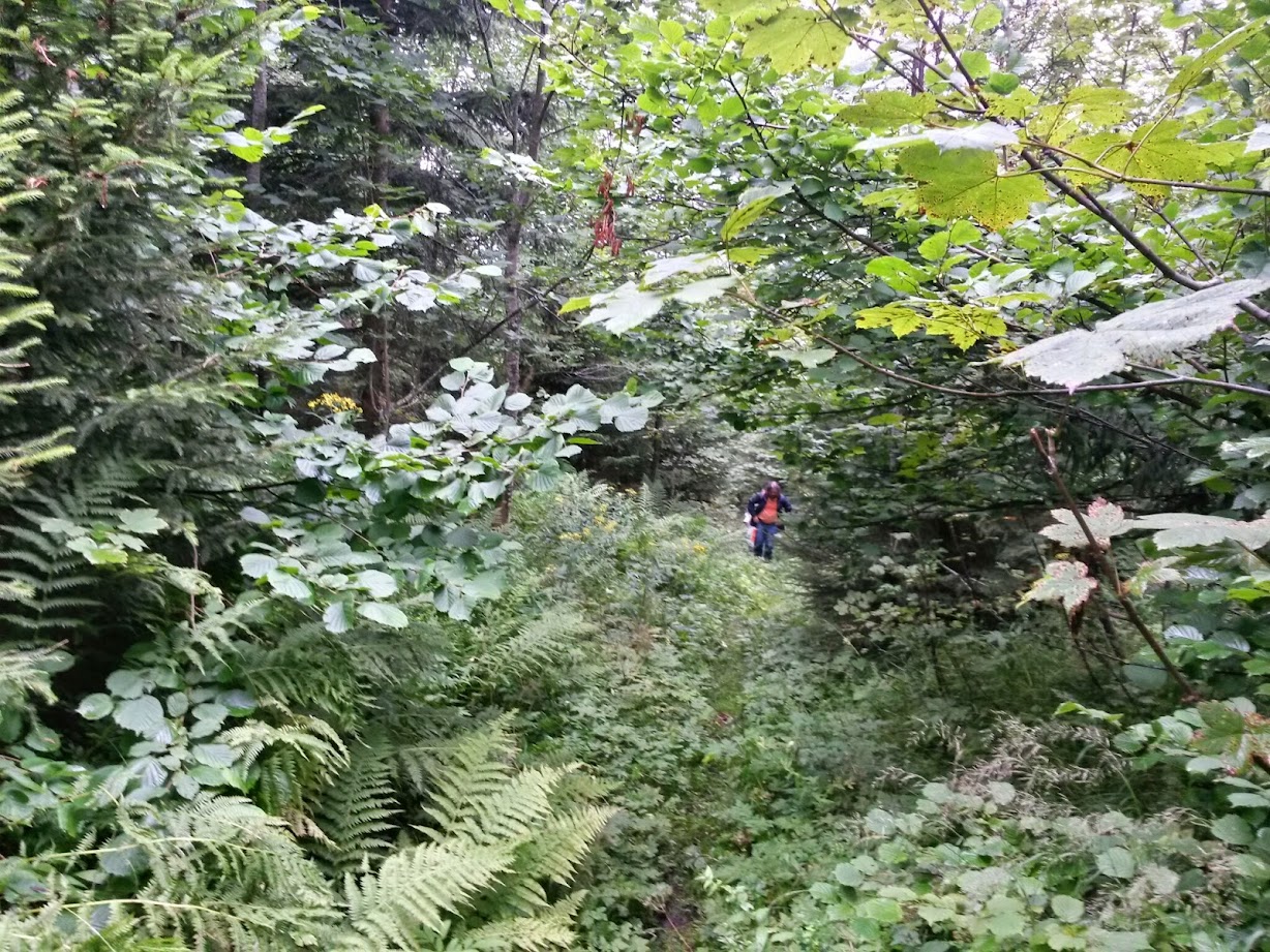 lh4.googleusercontent.com_-tflnkj-woh4_u-97nzmndei_aaaaaaaacba_y6toujp_qzq_w1228-h921-no_20140816_105748_richtone_28hdr_29.jpg lh4.googleusercontent.com_-tflnkj-woh4_u-97nzmndei_aaaaaaaacba_y6toujp_qzq_w1228-h921-no_20140816_105748_richtone_28hdr_29.jpg