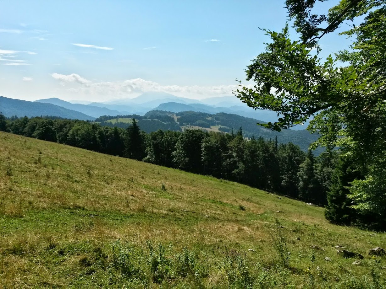 lh6.googleusercontent.com_-wbdot0i9uws_u9zy3kxhl2i_aaaaaaaabhw_2yyajg1nxxk_w1228-h921-no_20140802_103944_richtone_28hdr_29.jpg lh6.googleusercontent.com_-wbdot0i9uws_u9zy3kxhl2i_aaaaaaaabhw_2yyajg1nxxk_w1228-h921-no_20140802_103944_richtone_28hdr_29.jpg