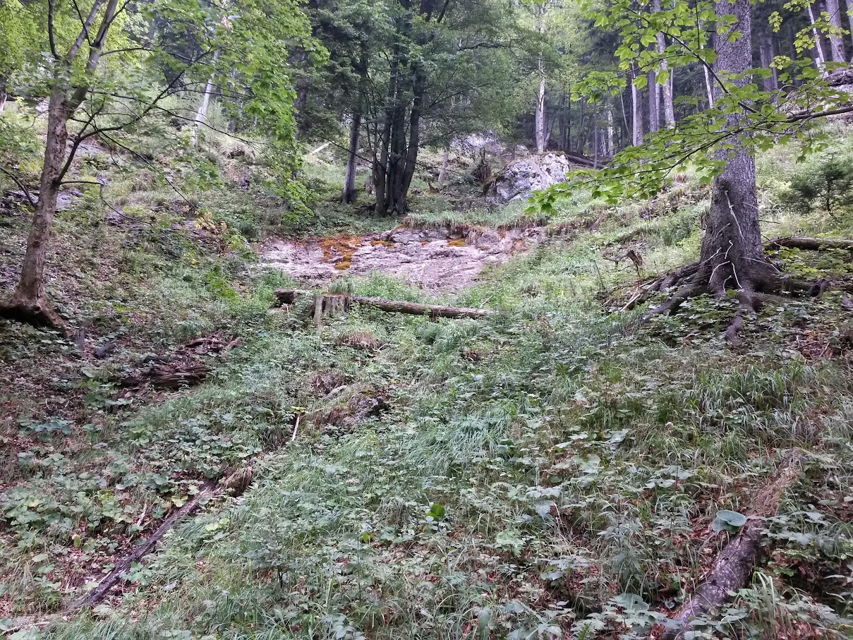 lh4.googleusercontent.com_-nfcwkp8fjju_vc9azsa1gyi_aaaaaaaanm0_aoknyolwmsu_w1209-h907-no_20150815_131621_richtone_2528hdr_2529.jpg lh4.googleusercontent.com_-nfcwkp8fjju_vc9azsa1gyi_aaaaaaaanm0_aoknyolwmsu_w1209-h907-no_20150815_131621_richtone_2528hdr_2529.jpg