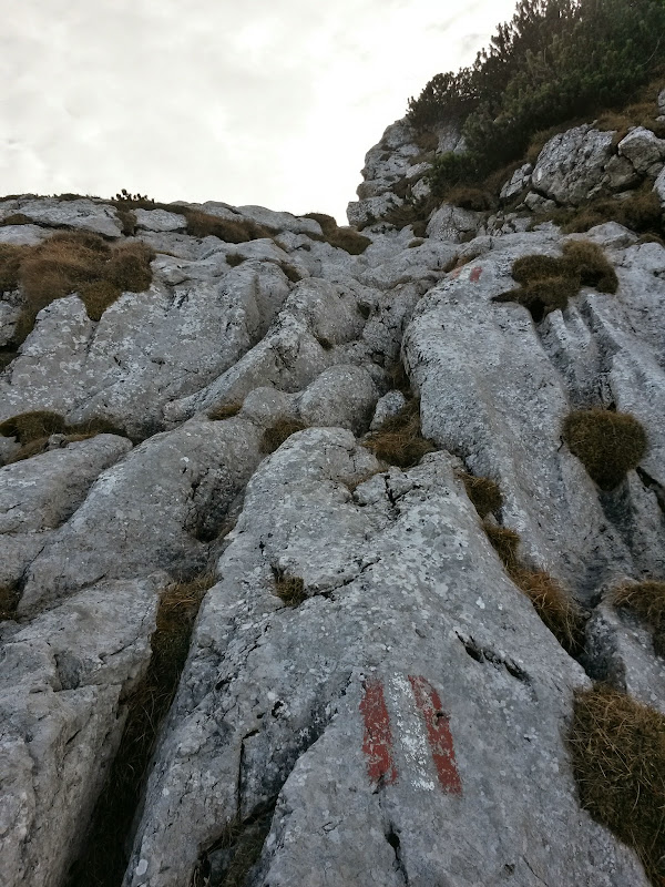 lh6.googleusercontent.com_-7u8lkbtr9vy_vhxqe0lejgi_aaaaaaaafzk_s9xh0enhwcg_w600-h800-no_20141126_112352_richtone_28hdr_29.jpg lh6.googleusercontent.com_-7u8lkbtr9vy_vhxqe0lejgi_aaaaaaaafzk_s9xh0enhwcg_w600-h800-no_20141126_112352_richtone_28hdr_29.jpg