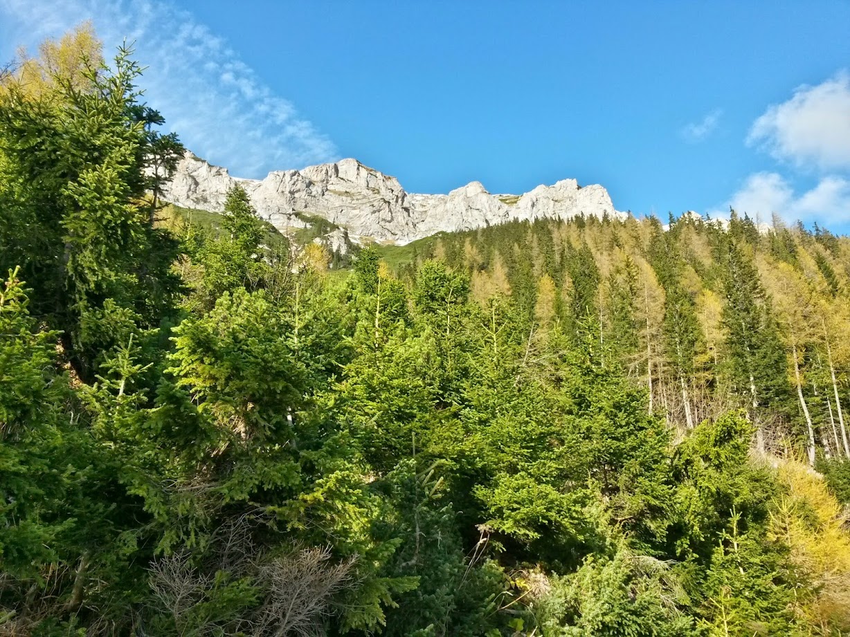 lh6.googleusercontent.com_-po1e5fecpqa_vfuxv74dowi_aaaaaaaaemu_4qu5v59zbbg_w1228-h921-no_20141101_135908_richtone_28hdr_29.jpg lh6.googleusercontent.com_-po1e5fecpqa_vfuxv74dowi_aaaaaaaaemu_4qu5v59zbbg_w1228-h921-no_20141101_135908_richtone_28hdr_29.jpg