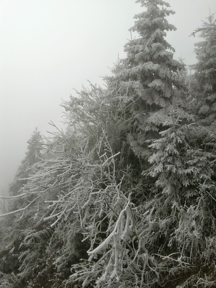 lh4.googleusercontent.com_-fxe9igrga8a_vholggnsv3i_aaaaaaaafpk_zq_gqulww7m_w691-h921-no_20141129_131213_richtone_28hdr_29.jpg lh4.googleusercontent.com_-fxe9igrga8a_vholggnsv3i_aaaaaaaafpk_zq_gqulww7m_w691-h921-no_20141129_131213_richtone_28hdr_29.jpg