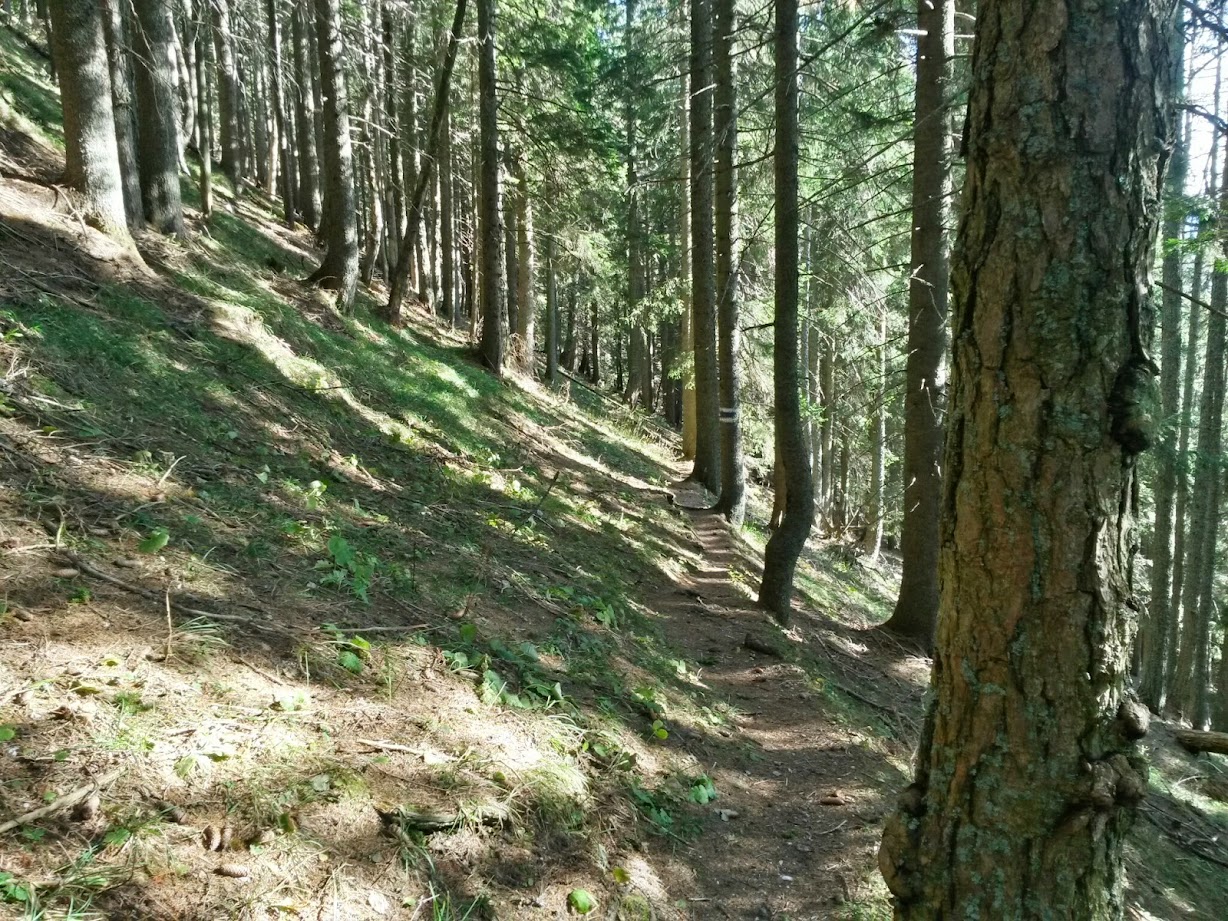 lh5.googleusercontent.com_-lz9ozbsbgo8_vfuxqjgbuji_aaaaaaaaelw_vmklenqchts_w1228-h921-no_20141101_133651_richtone_28hdr_29.jpg lh5.googleusercontent.com_-lz9ozbsbgo8_vfuxqjgbuji_aaaaaaaaelw_vmklenqchts_w1228-h921-no_20141101_133651_richtone_28hdr_29.jpg