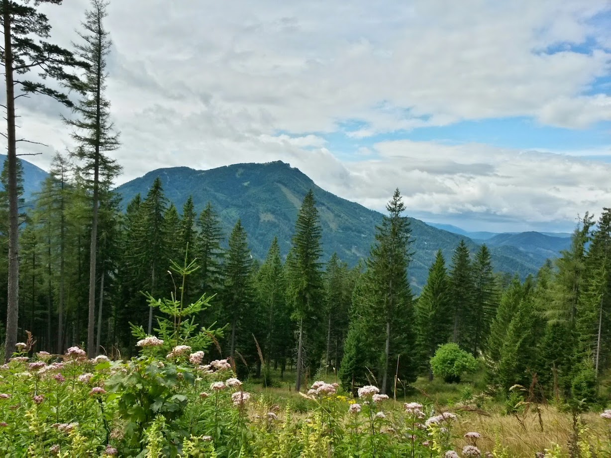 lh5.googleusercontent.com_-w0bzrsosgha_u-97fgun_zi_aaaaaaaaccg_cuphhxkcvkw_w1228-h921-no_20140816_133738_richtone_28hdr_29.jpg lh5.googleusercontent.com_-w0bzrsosgha_u-97fgun_zi_aaaaaaaaccg_cuphhxkcvkw_w1228-h921-no_20140816_133738_richtone_28hdr_29.jpg