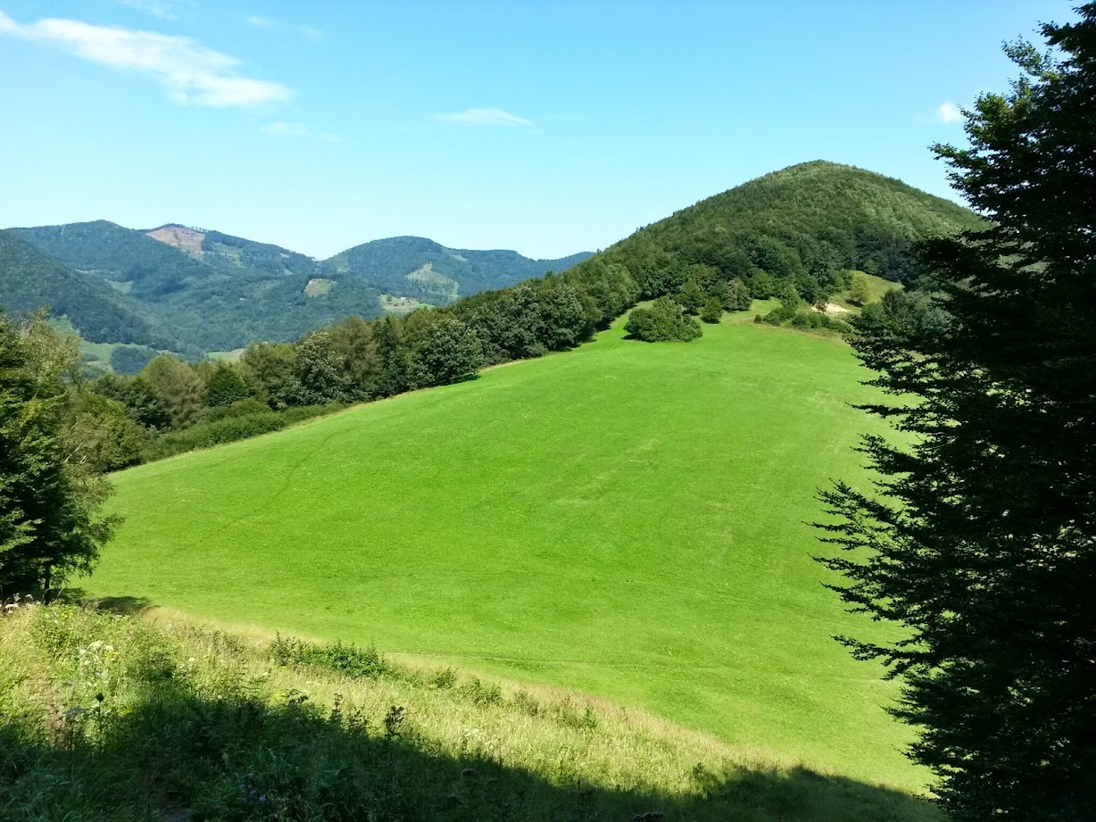 lh4.googleusercontent.com_-tghikih7fi8_u9zzfn-t8ci_aaaaaaaabje_lwcpuaoo9ki_w1228-h921-no_20140802_115348_richtone_28hdr_29.jpg lh4.googleusercontent.com_-tghikih7fi8_u9zzfn-t8ci_aaaaaaaabje_lwcpuaoo9ki_w1228-h921-no_20140802_115348_richtone_28hdr_29.jpg