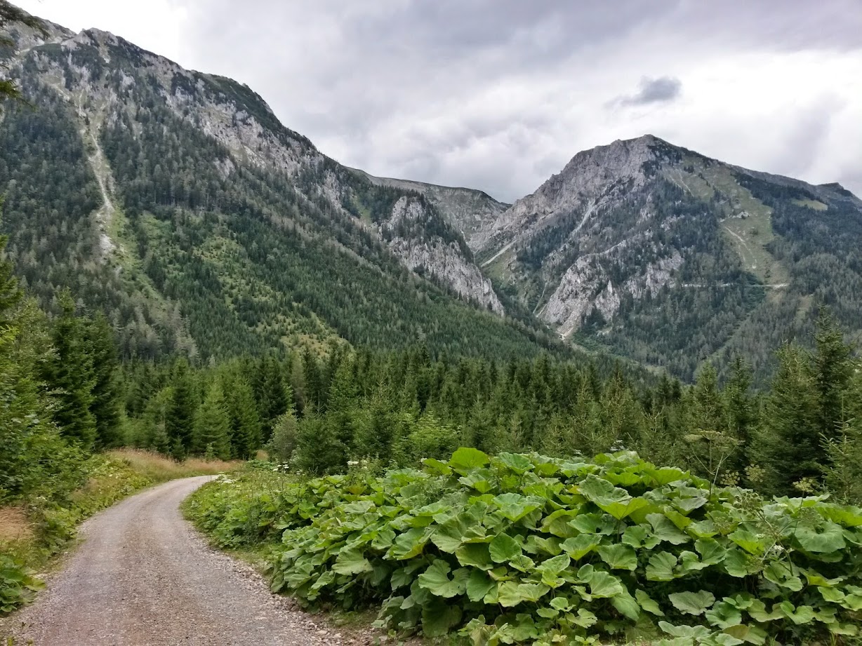 lh5.googleusercontent.com_--olzv5cw3z8_u-37j5vurbi_aaaaaaaab_w_ditpmhfpspe_w1228-h921-no_20140815_121031_richtone_28hdr_29.jpg lh5.googleusercontent.com_--olzv5cw3z8_u-37j5vurbi_aaaaaaaab_w_ditpmhfpspe_w1228-h921-no_20140815_121031_richtone_28hdr_29.jpg