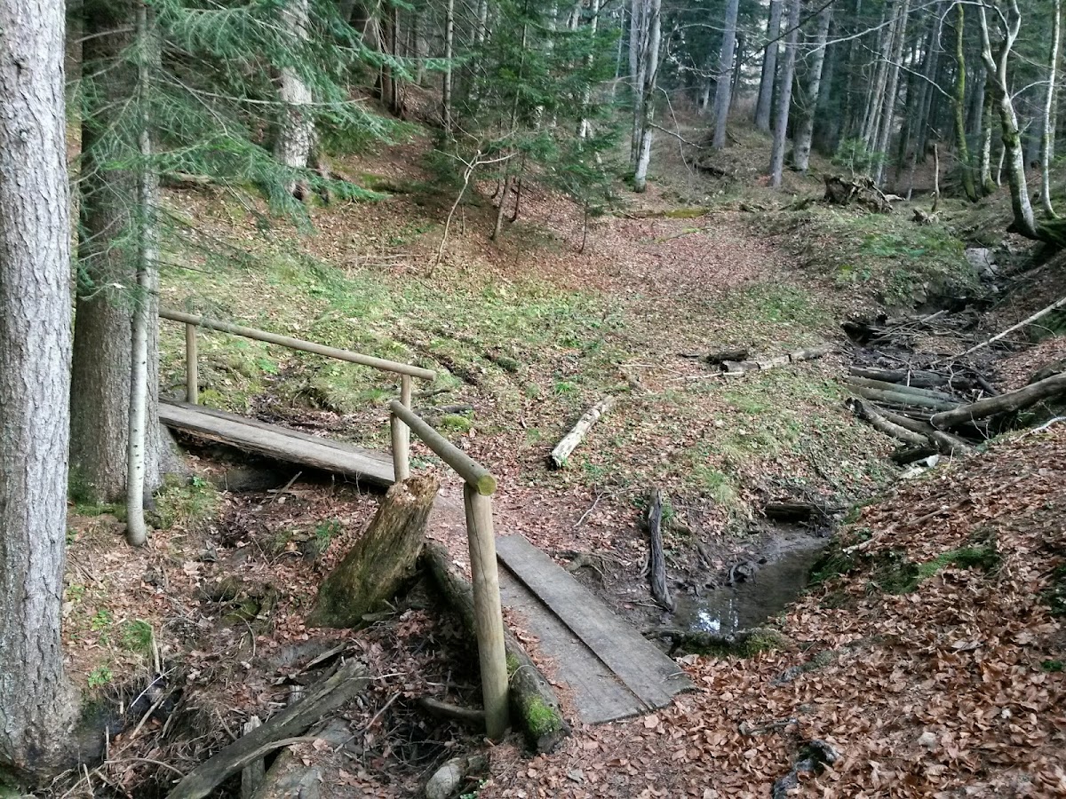 lh3.googleusercontent.com_-c2ulhzldawg_vhxlim2it0i_aaaaaaaafwm_lmnmnsfqr6m_w1200-h900-no_20141126_094556_richtone_28hdr_29.jpg lh3.googleusercontent.com_-c2ulhzldawg_vhxlim2it0i_aaaaaaaafwm_lmnmnsfqr6m_w1200-h900-no_20141126_094556_richtone_28hdr_29.jpg