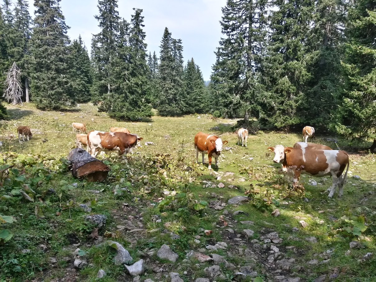 lh4.googleusercontent.com_-4cgzw8my7fs_vc9anlakowi_aaaaaaaanmu_hghk1qormus_w1209-h907-no_20150815_122024_richtone_2528hdr_2529.jpg lh4.googleusercontent.com_-4cgzw8my7fs_vc9anlakowi_aaaaaaaanmu_hghk1qormus_w1209-h907-no_20150815_122024_richtone_2528hdr_2529.jpg