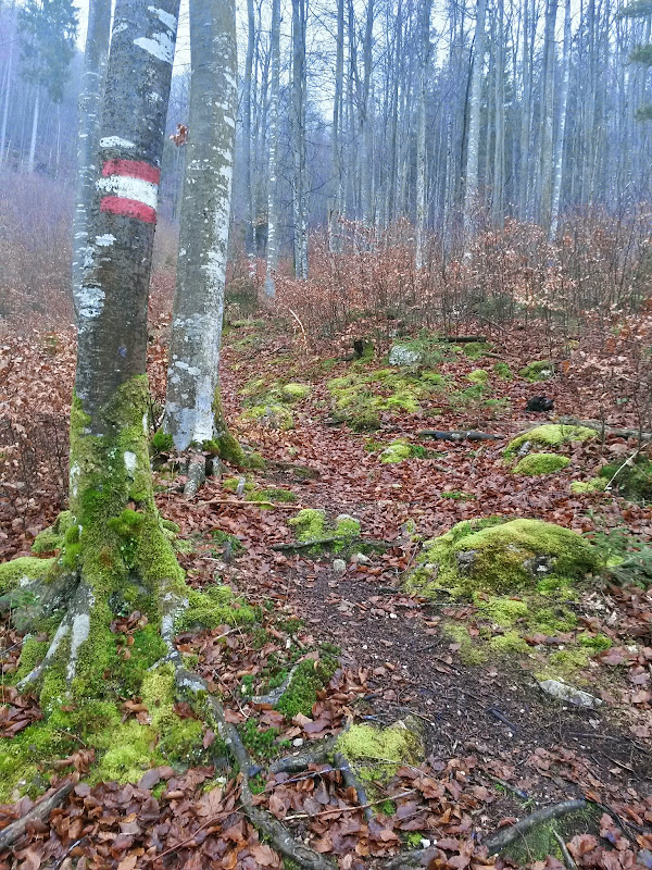 lh6.googleusercontent.com_-n-qv809q1am_vhswg8ntmvi_aaaaaaaafrs_9nzkt4dxh4u_w600-h800-no_20141125_093919_richtone_28hdr_29.jpg lh6.googleusercontent.com_-n-qv809q1am_vhswg8ntmvi_aaaaaaaafrs_9nzkt4dxh4u_w600-h800-no_20141125_093919_richtone_28hdr_29.jpg