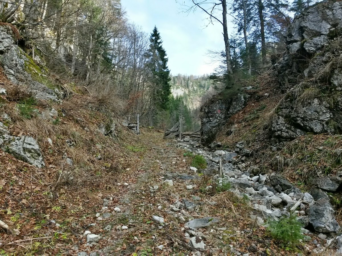 lh6.googleusercontent.com_-tmmh5cviuyu_vhm73-iiifi_aaaaaaaafjw_notf6hx7yua_w1200-h900-no_20141124_093644_richtone_28hdr_29.jpg lh6.googleusercontent.com_-tmmh5cviuyu_vhm73-iiifi_aaaaaaaafjw_notf6hx7yua_w1200-h900-no_20141124_093644_richtone_28hdr_29.jpg