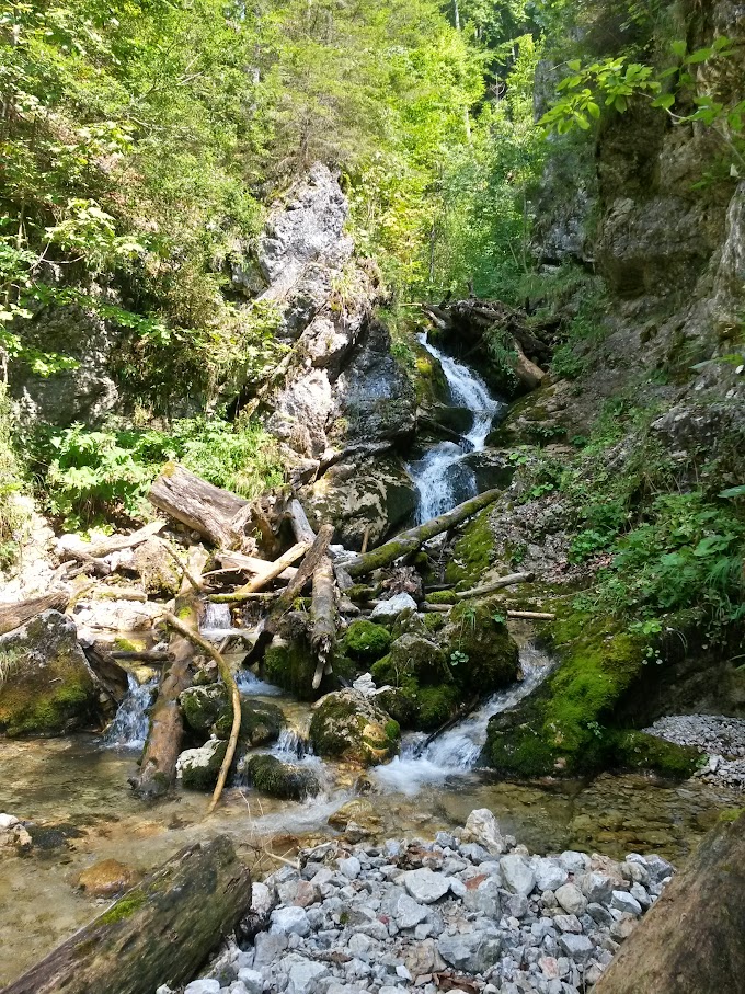 lh6.googleusercontent.com_-ctvpfgvb-uy_vc9bdg9xevi_aaaaaaaannc_u631cbnyspc_w680-h907-no_20150815_143617_richtone_2528hdr_2529.jpg lh6.googleusercontent.com_-ctvpfgvb-uy_vc9bdg9xevi_aaaaaaaannc_u631cbnyspc_w680-h907-no_20150815_143617_richtone_2528hdr_2529.jpg